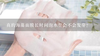 真的海藻面膜长时间泡水里会不会发芽？