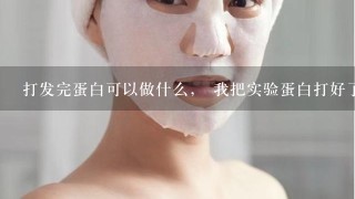 打发完蛋白可以做什么， 我把实验蛋白打好了 之后怎么办？？不要倒掉的说