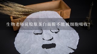 生物老师说胶原蛋白面膜不能被细胞吸收?