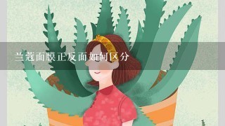 兰蔻面膜正反面如何区分