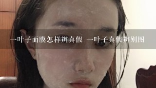 一叶子面膜怎样辨真假 一叶子真假辨别图