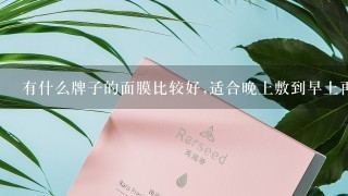 有什么牌子的面膜比较好,适合晚上敷到早上再清理？