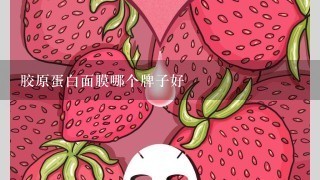 胶原蛋白面膜哪个牌子好