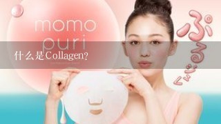 什么是Collagen