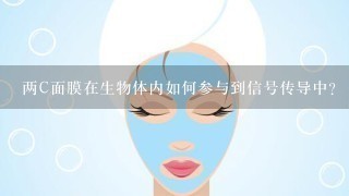 两C面膜在生物体内如何参与到信号传导中?